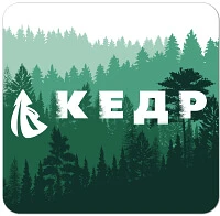 Столешницы кедр