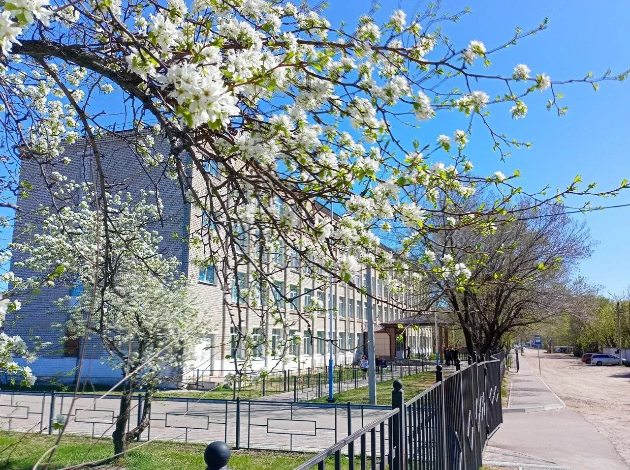 МОАУ СОШ №192 г.Свободного — канал в мессенджере MAX