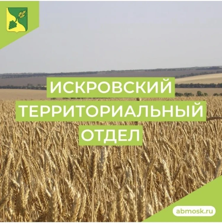 Искровский территориальный отдел администрации Буденновского муниципального округа