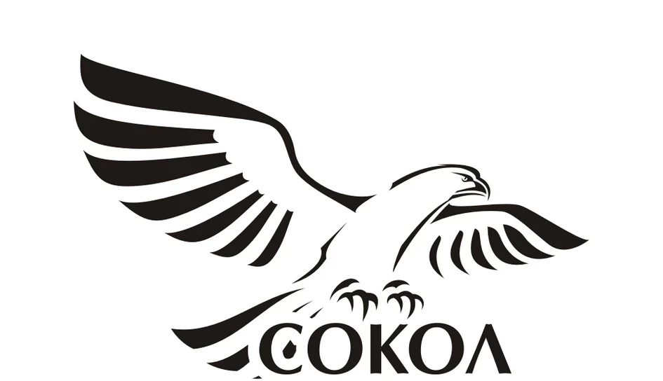 МБДОУ "Сокол" Новофедоровка Сакский р-н Республика Крым