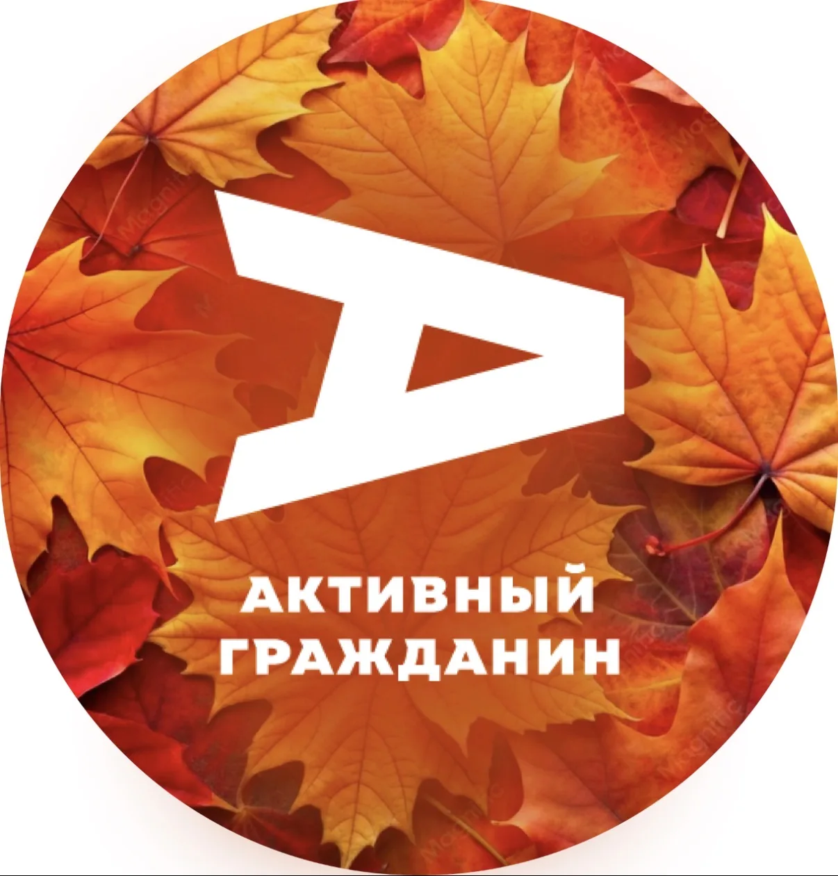 Активный гражданин — канал в мессенджере MAX