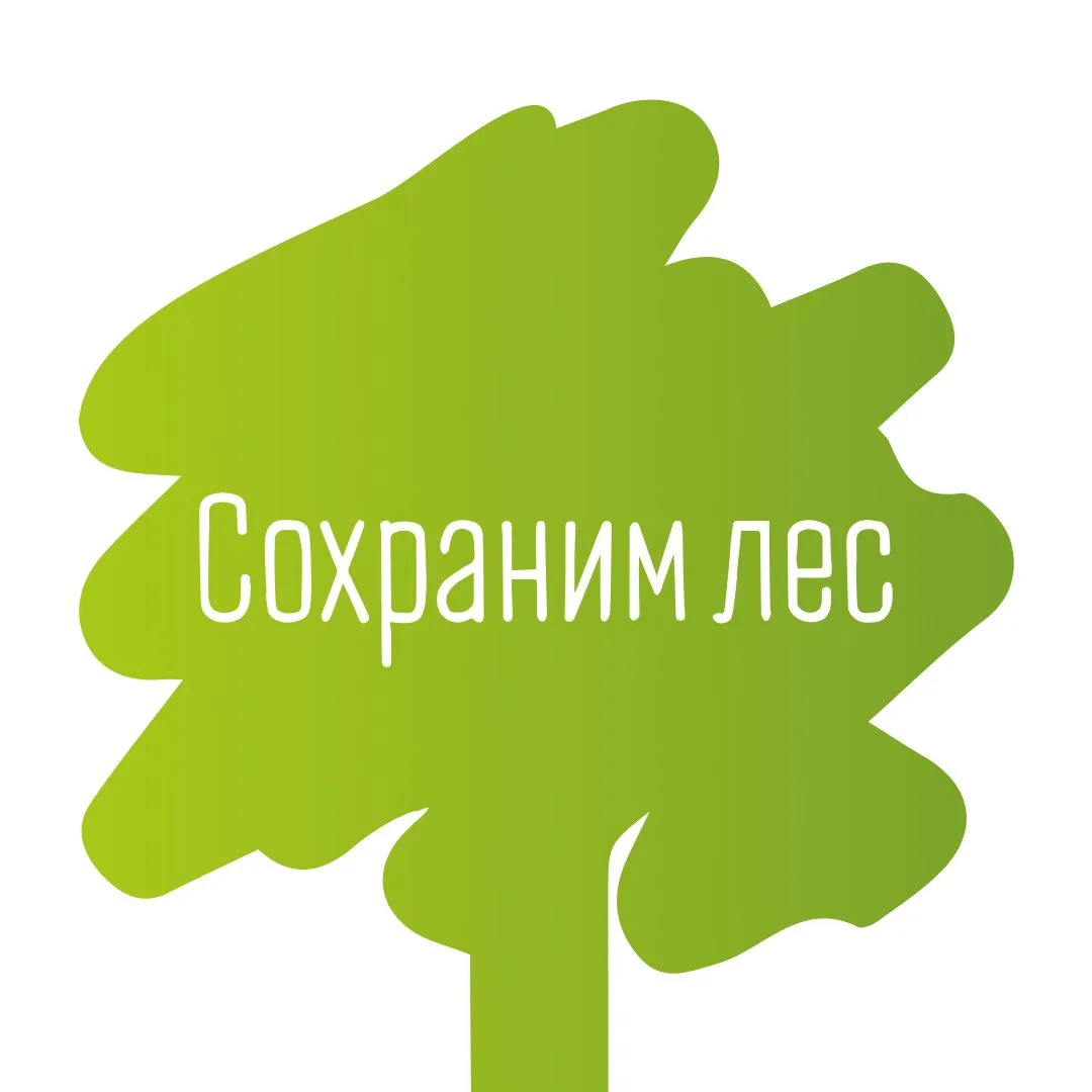 Сохраним лес — канал в мессенджере MAX