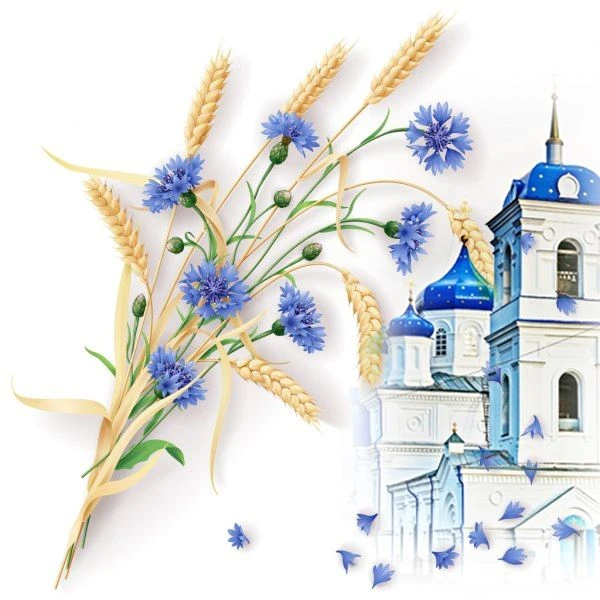 Администрация Репьёвского сельского поселения Репьёвского муниципального района