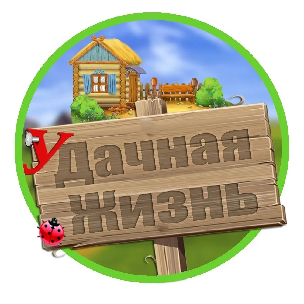 Моя любимая дача
