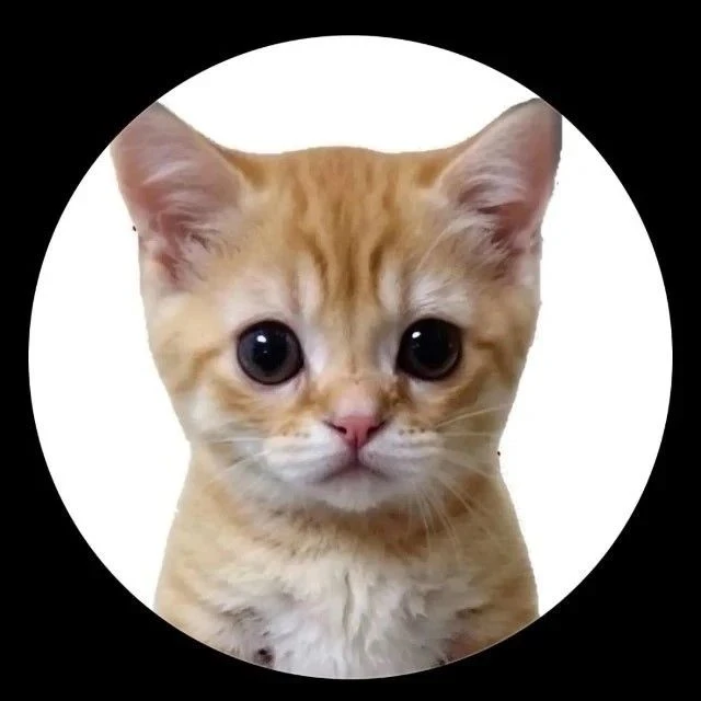 КОТЯТА ПОЯСНЯЮТ — канал в мессенджере MAX