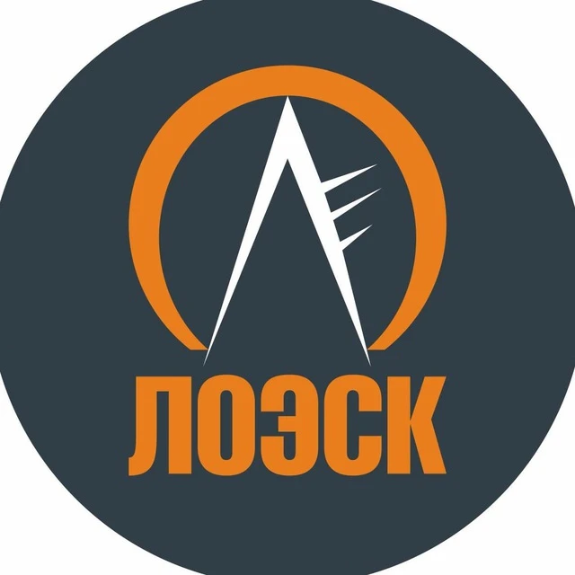 ЛОЭСК — канал в мессенджере MAX