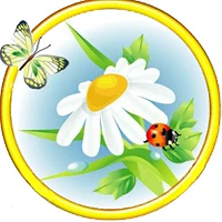 МКДОУ ДС 4 Ромашка г.Светлоград