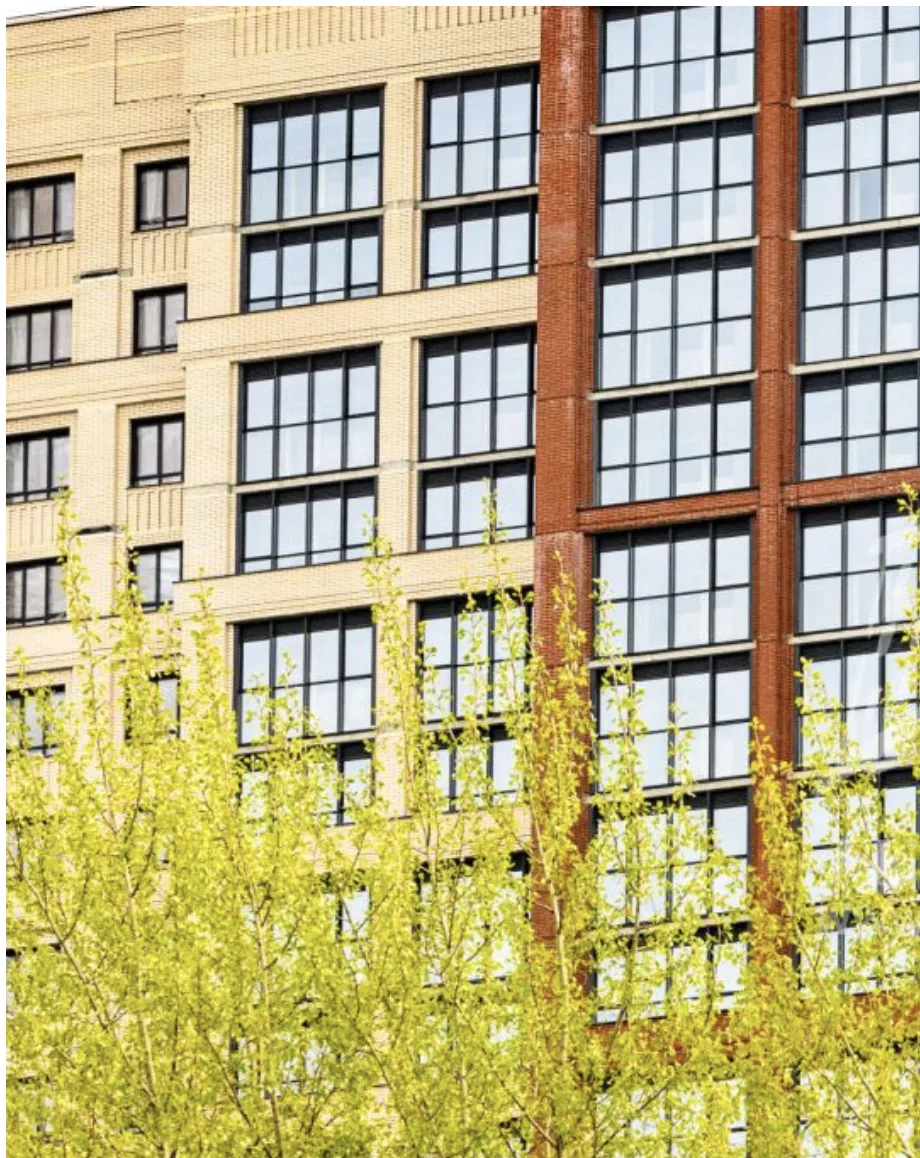 Звезда ЖК в Новосибирске