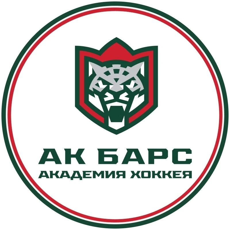 Академия хоккея «Ак Барс» — канал в мессенджере MAX