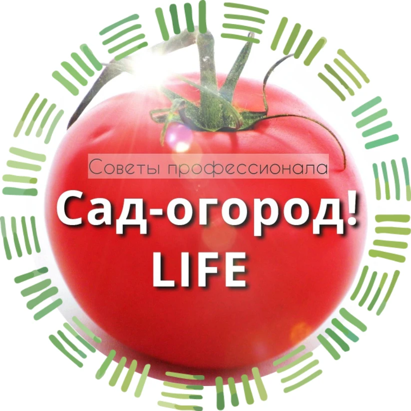 Сад огород life