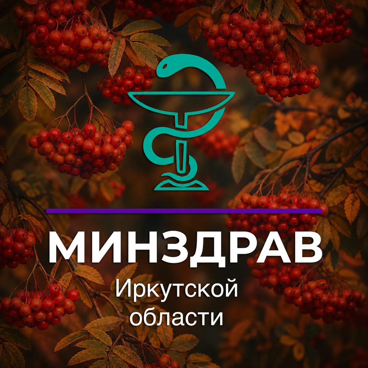 Минздрав Иркутской области — канал в мессенджере MAX
