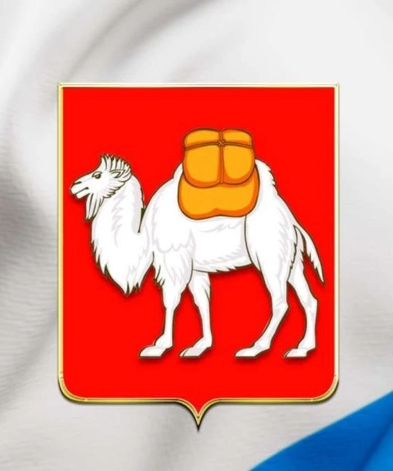 МИНИСТЕРСТВО ОБЩЕСТВЕННОЙ БЕЗОПАСНОСТИ ЧЕЛЯБИНСКОЙ ОБЛАСТИ