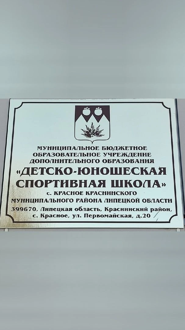 МБОУ ДО "ДЮСШ" с. Красное