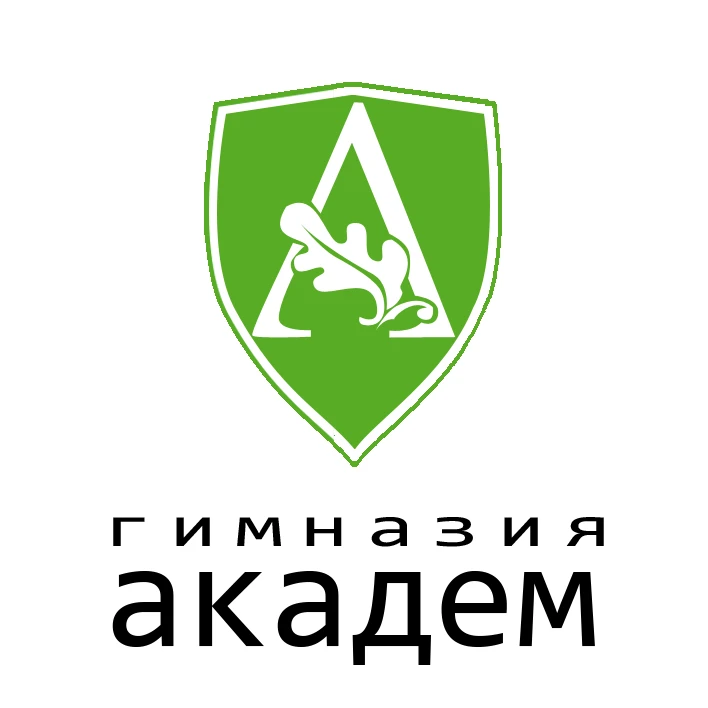 МАОУ Гимназия № 13 "Академ" г. Красноярск — канал в мессенджере MAX