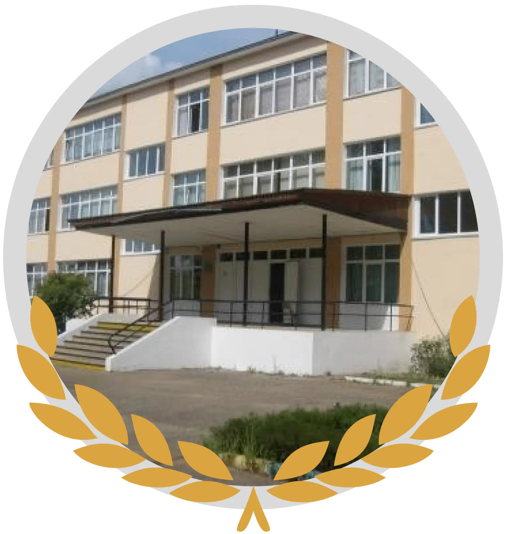 Муниципальное общеобразовательное учреждение средняя общеобразовательная школа "Лидер"