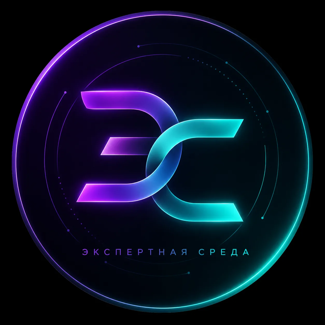 Экспертная среда