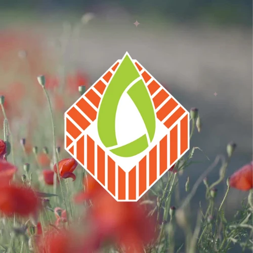 Улыбнись Чистому Городу