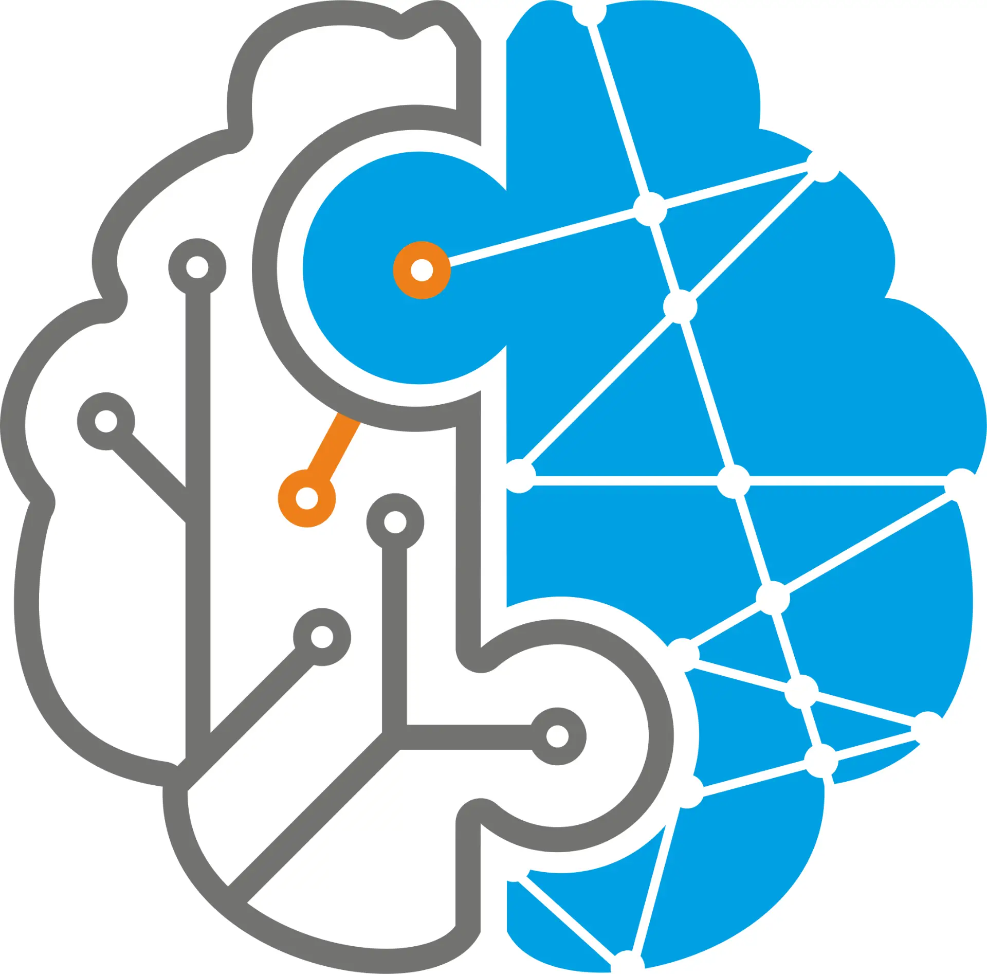 АИЦТиОКО имени О.Р. Львова