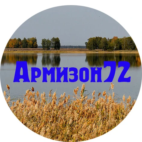 Армизон72 — канал в мессенджере MAX