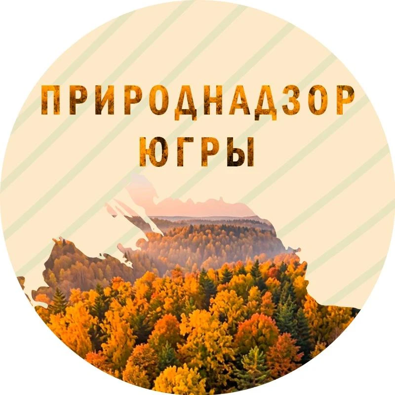 Природнадзор Югры — канал в мессенджере MAX