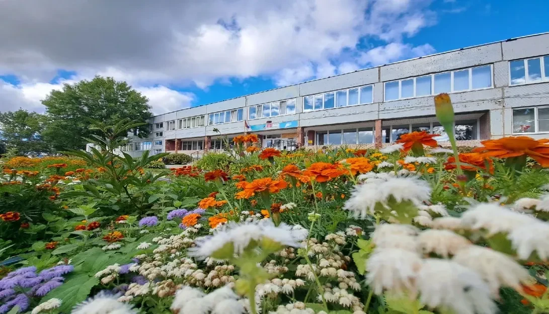 МОУ "Большеврудская СОШ"