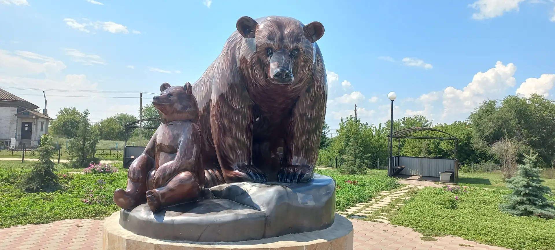 Медведица(Франк)