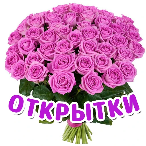 ОТКРЫТКИ — канал в мессенджере MAX