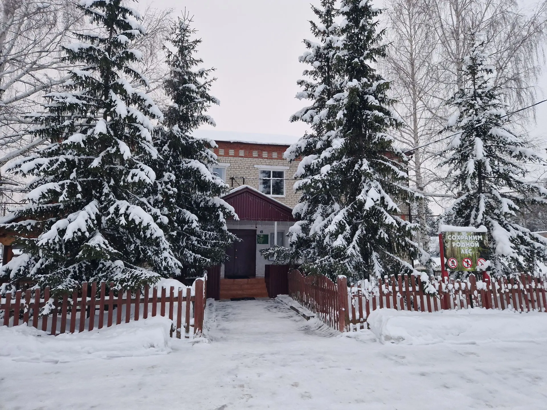 ГКУ РМ "Березниковское территориальное лесничество"