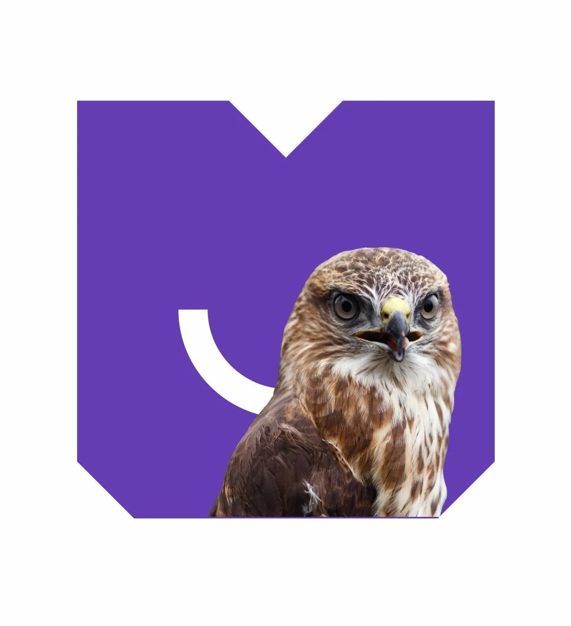Ситиматик — канал в мессенджере MAX