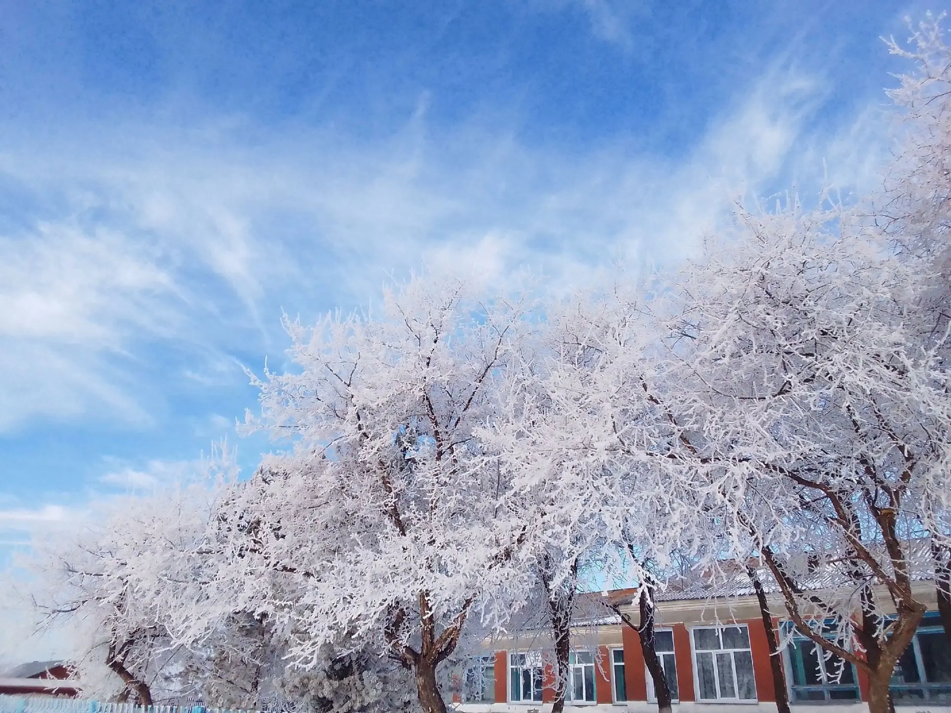 МКОУ Кругликовская ООШ