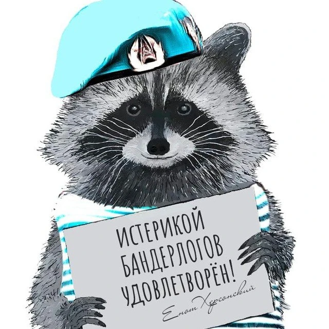 Енот из Херсона — канал в мессенджере MAX