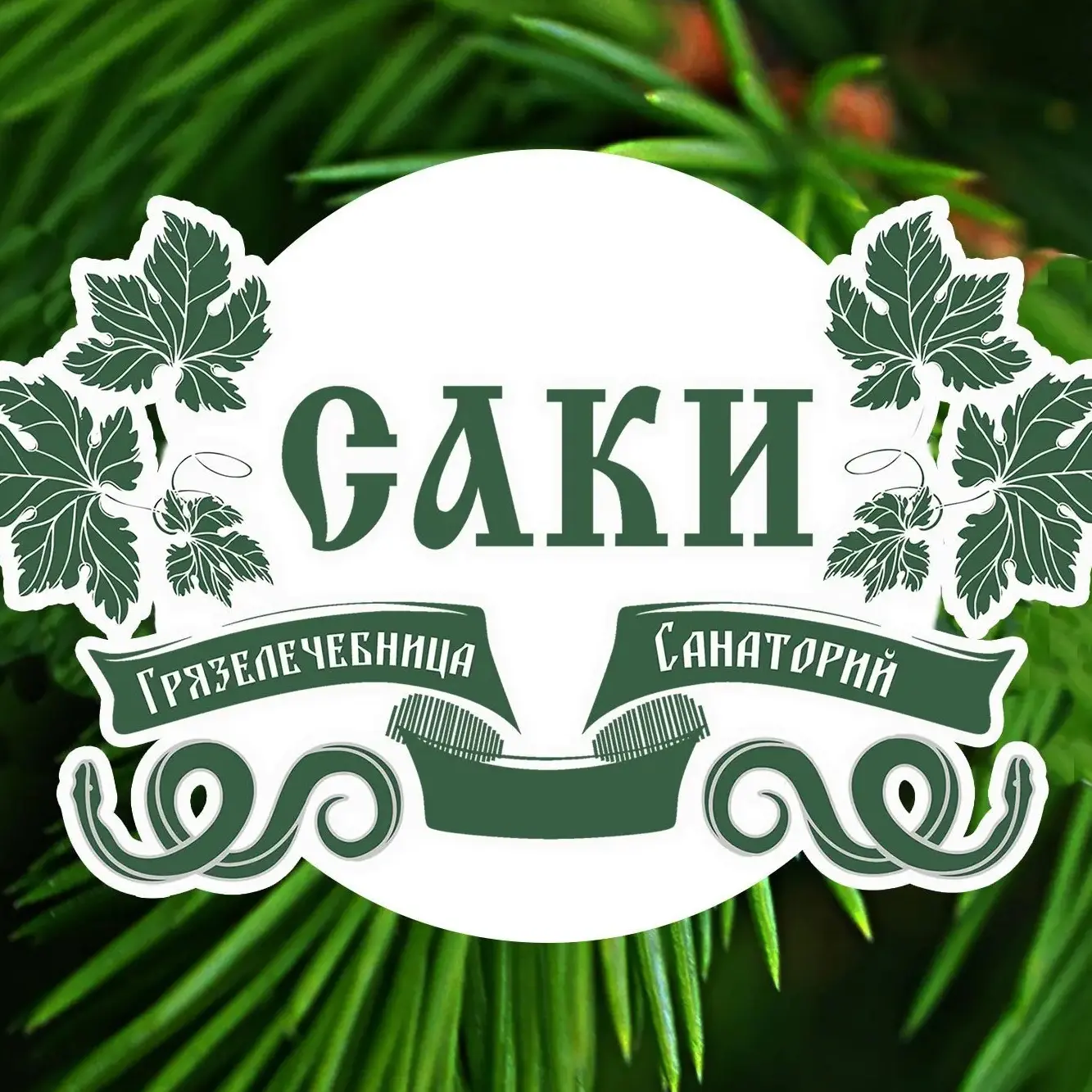 Санаторий "Саки" — канал в мессенджере MAX