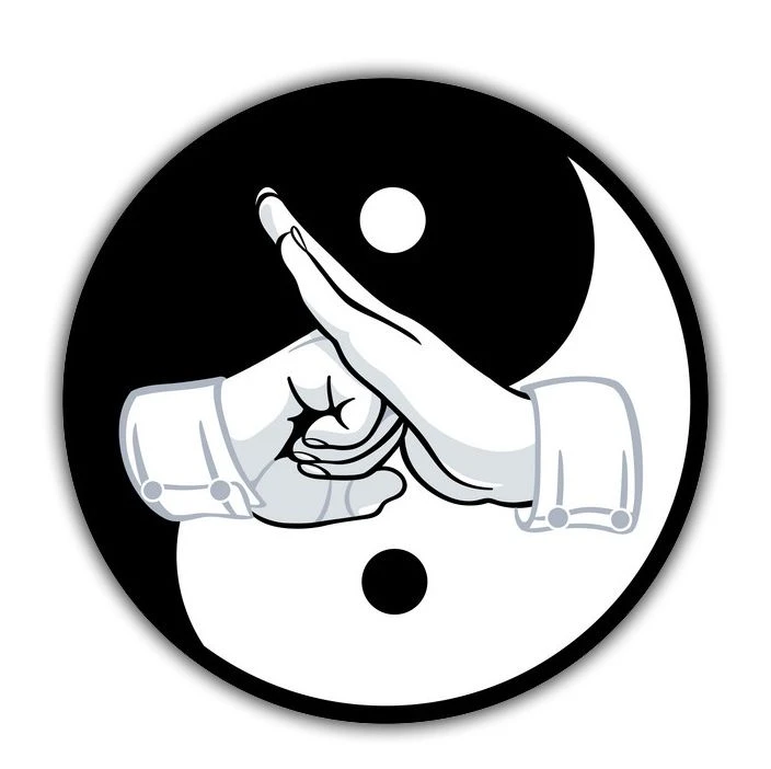 Кунг-фу Шаолиня