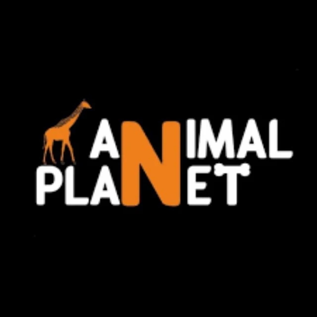 Animal Planet — канал в мессенджере MAX
