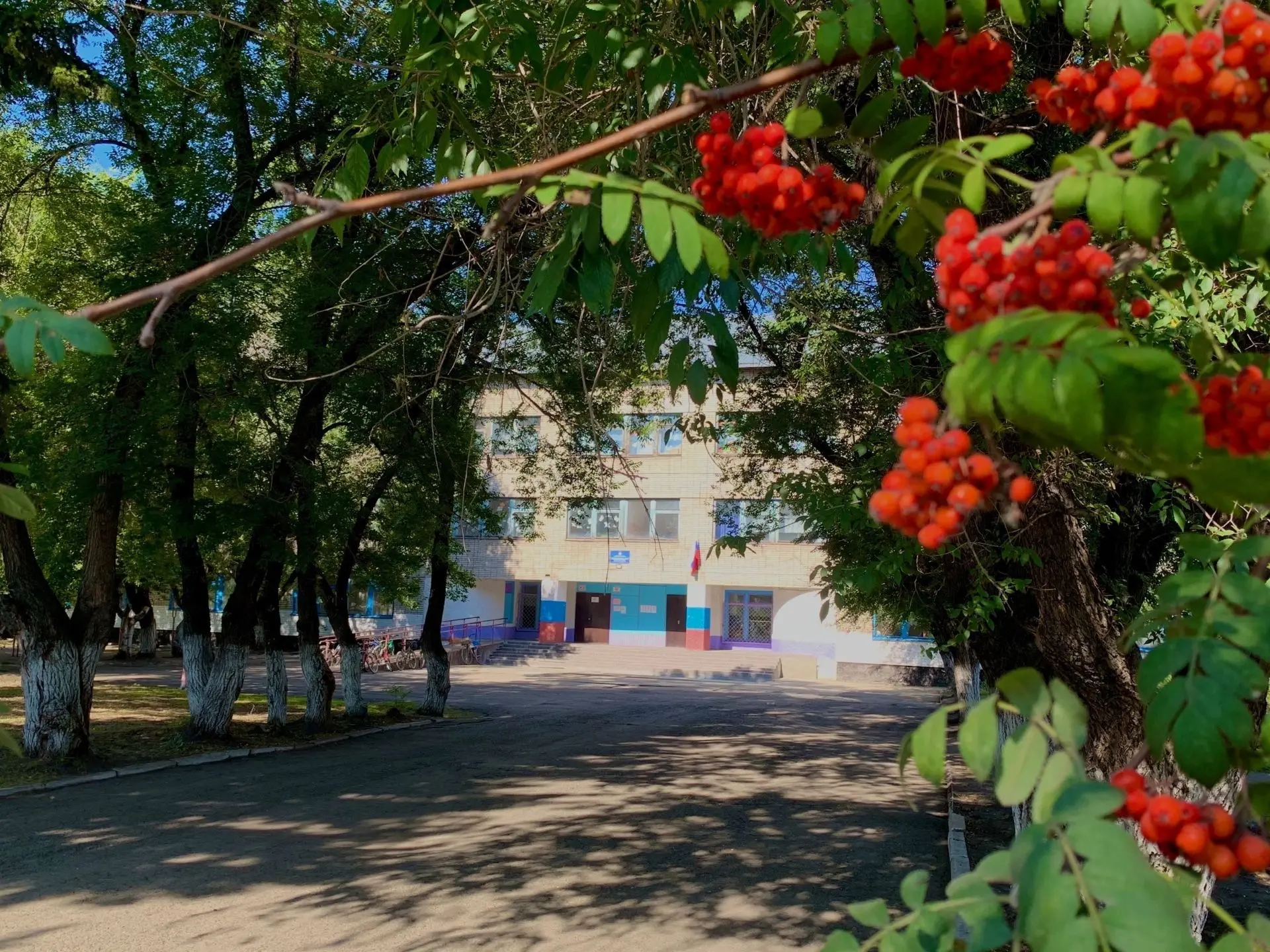 МКОУ Станционно-Ояшинская СОШ