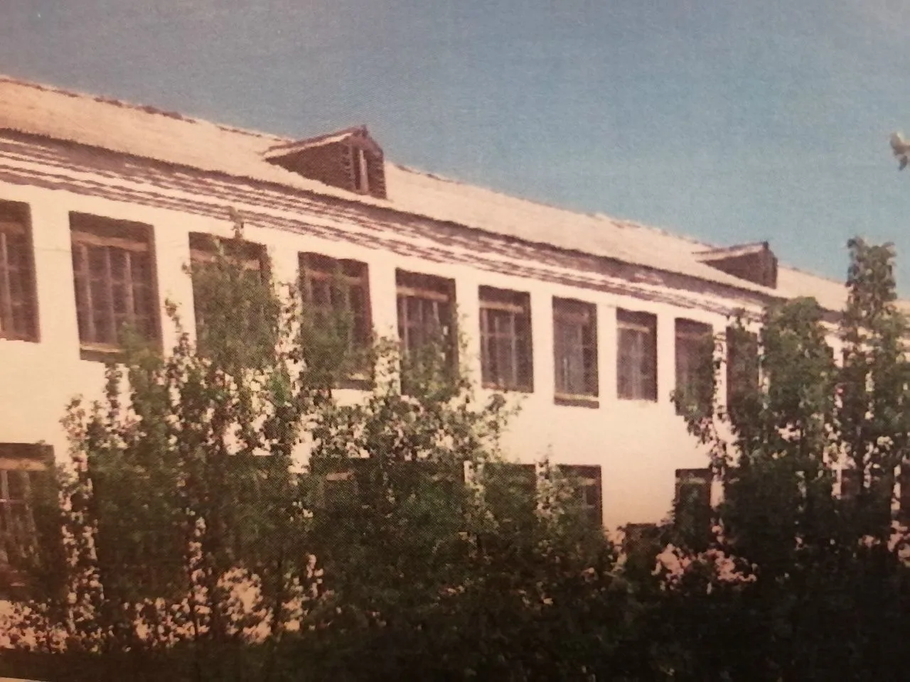 КАРАСИНСКАЯ СОШ