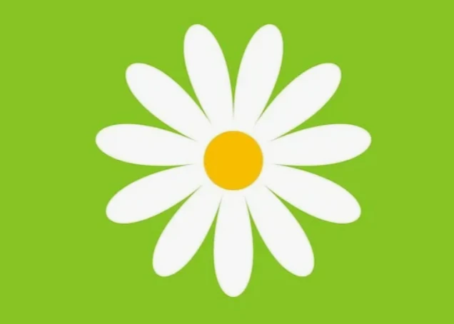 Канал МБДОУ Д/С № 17 "Ромашка"