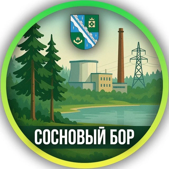 Мы из Соснового Бора