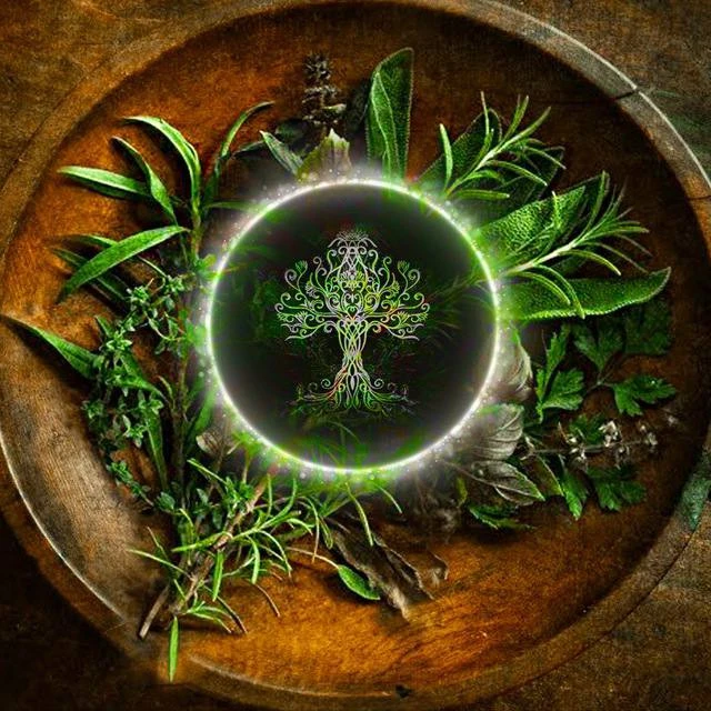 Мой Знахарь