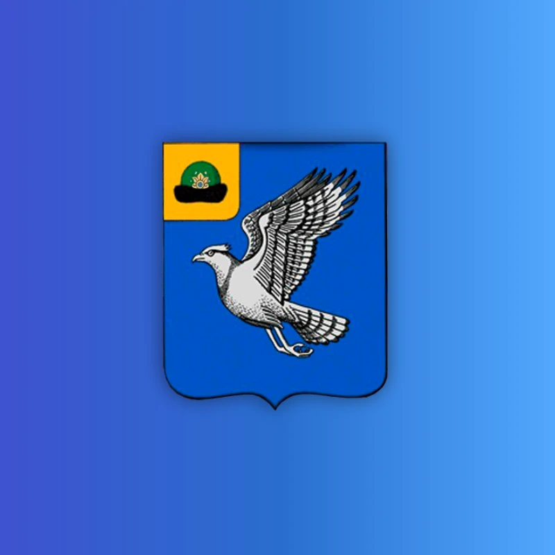 Скопинский округ