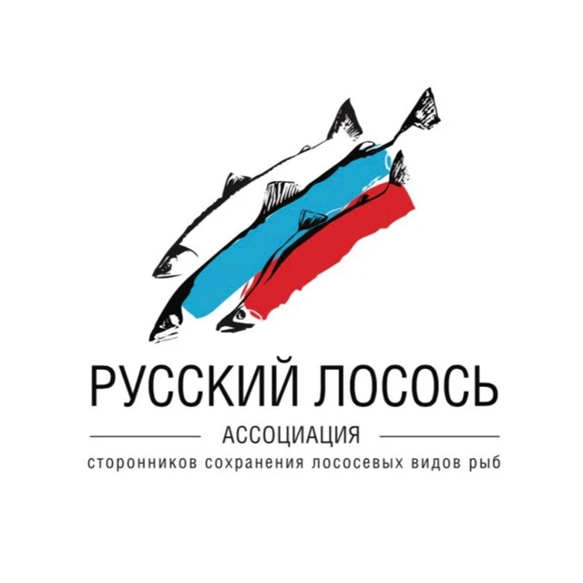 РУССКИЙ ЛОСОСЬ — канал в мессенджере MAX
