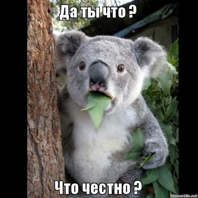 Briefня — канал в мессенджере MAX