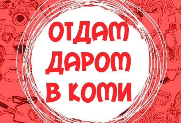 ДАРОМ Коми — канал в мессенджере MAX