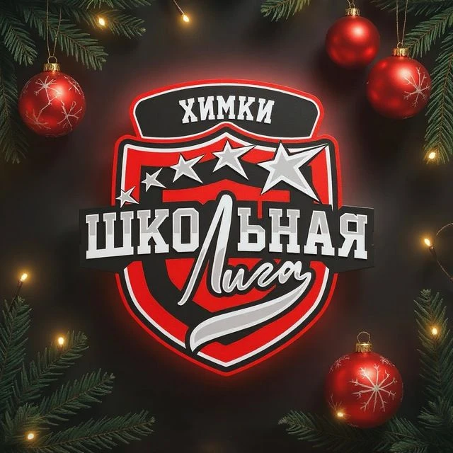 Химкинская Школьная Лига — канал в мессенджере MAX