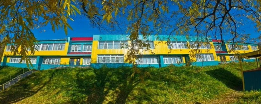 МАДОУ "Детский сад № 46" г. Петропавловск-Камчатский — канал в мессенджере MAX