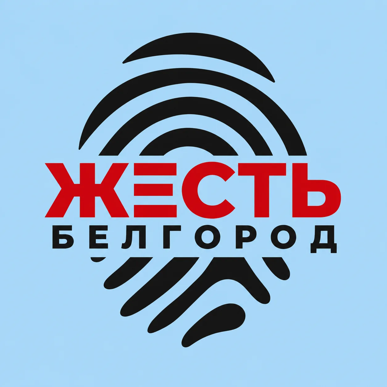 Жесть Белгород — канал в мессенджере MAX