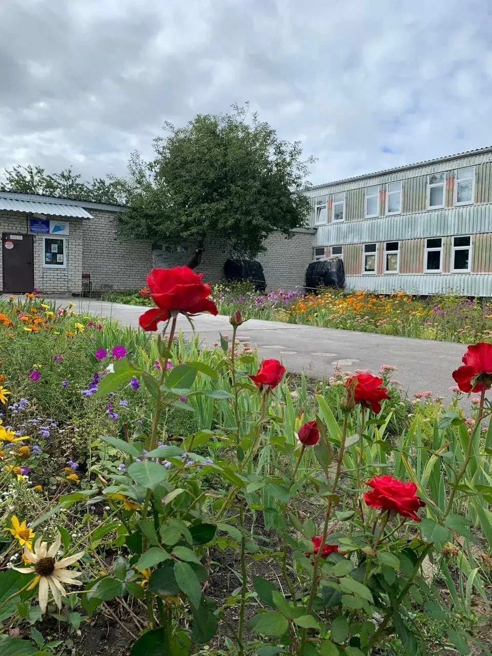 МКОУ "Школа №7" г. Курчатова Курской области