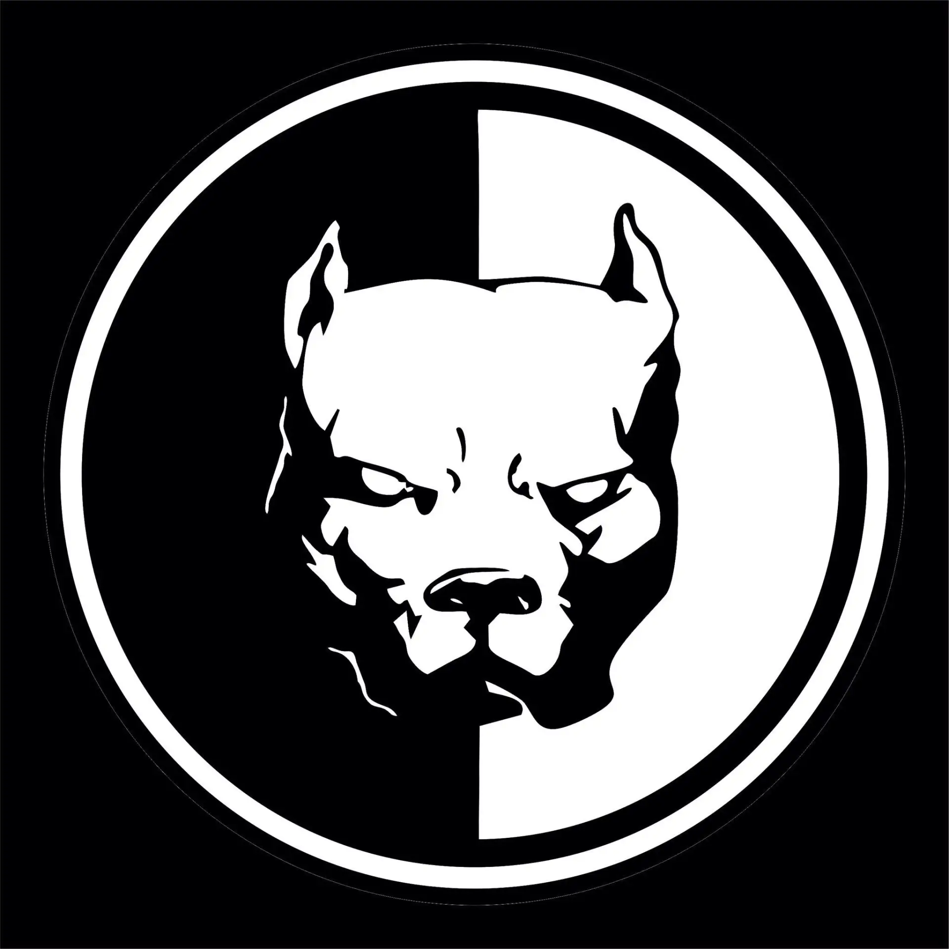 D3 Davidich Dynamic Drive