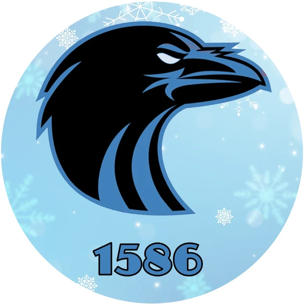 Новости Воронеж 1586