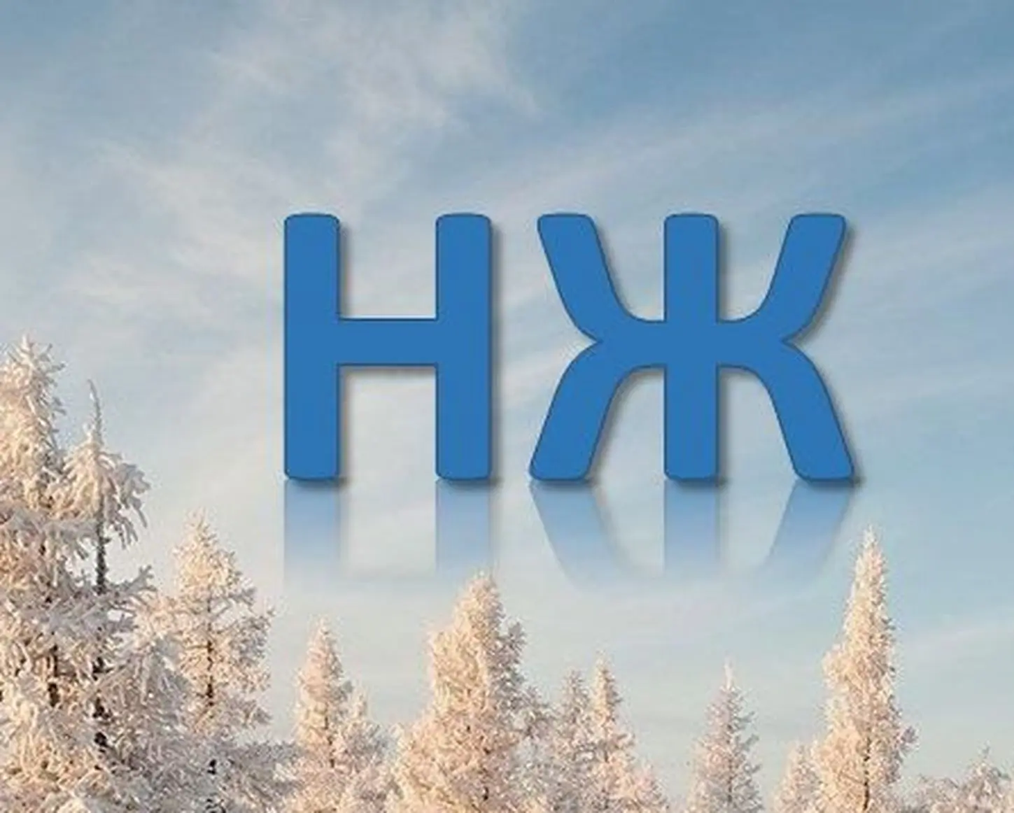 Новая жизнь